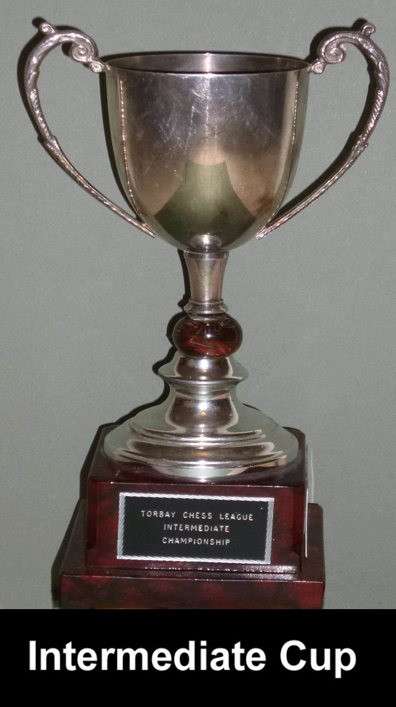 Torbay Congress Ralph Newman Cup